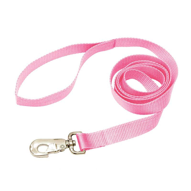 Nylon Leash, - Lucky Pet